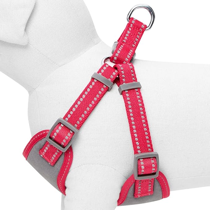 Blueberry Pet Essentials Pastel Color Reflective Dog Harness Vest, Chest Girth 17.5" - 21", Very Berry, Small, Adjustable Harnesses for Dogs