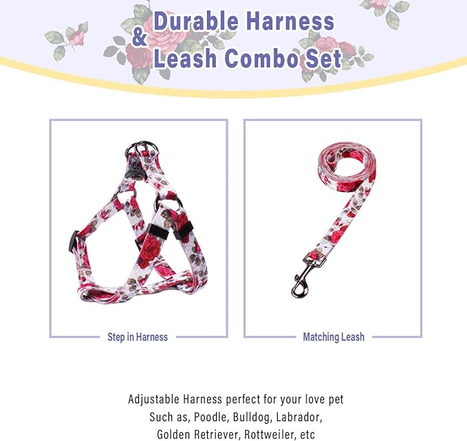 QQPETS Dog Harness Leash Set Adjustable Heavy Duty No Pull Halter Harnesses for Small Medium Large Breed Dogs Back Clip Anti-Twist Perfect for Walking (M(19"-26" Chest Girth), Rose)