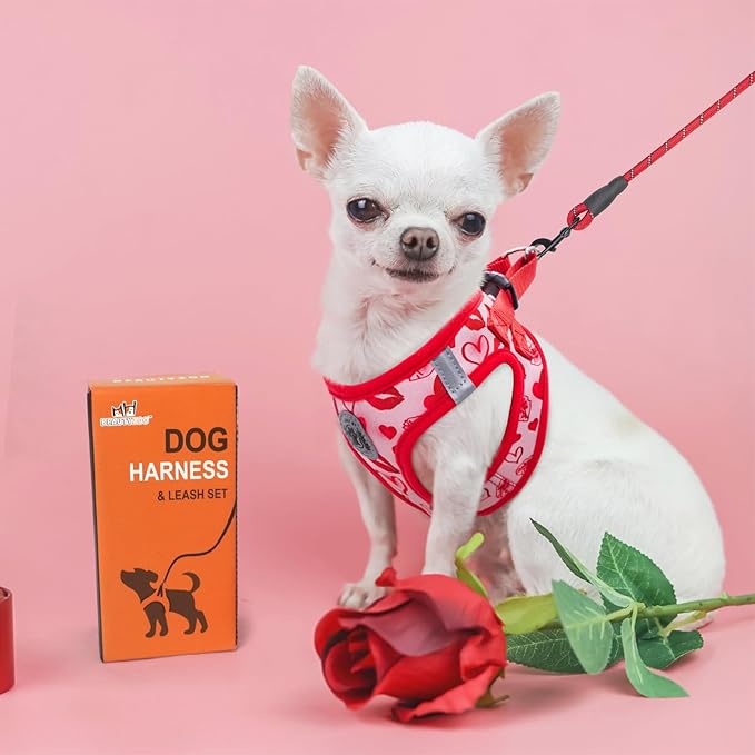 BEAUTYZOO Step in Dog Harness and Leash Set,Reflective Dog Harness No Pull No Choke Puppy Harness for Small Medium Large Dogs Cats,Soft Padded Mesh Vest Harnesses for Girl and Boy Pets, Valentine XS