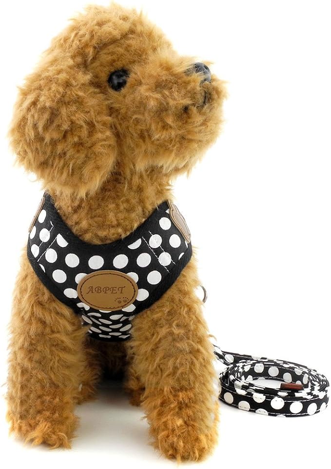 SMALLLEE_Lucky_Store New Soft Mesh Nylon Vest Pet Cat Small Medium Dog Harness Dog Leash Set Leads Black M