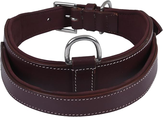 Leather Dog Collar with Handle, 2 Inch Wide Saddle Grade Cherry Leather Dog Collar for Extra Large Dogs | Heavy Duty, Comfortable, Inner Soft Padded | (XL (Fit Neck Size 22"-26"), Cherry)