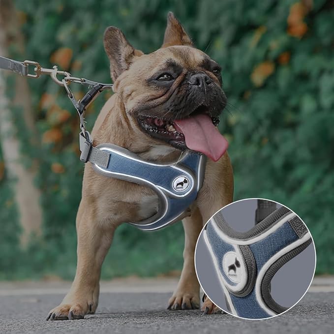 Dog Harness with Leash Set, No Pull Adjustable Step in Dog Collars Harness with Breathable Padded Vest Harness for Small Medium Large Dogs Training and Running(S, Blue)