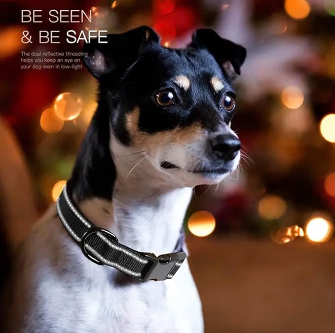 Reflective Dog Collar,Soft Neoprene Padded Breathable Nylon Pet Collar Adjustable