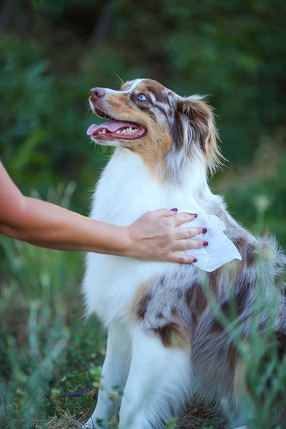 earthbath, Hypo-Allergenic Pet Eye Wipes - Fragrance Free Tear Stain Remover for Dogs Cats, Puppies and Kittens, Made in USA, 100% Cruelty Free - 30 Count (2 Pack)