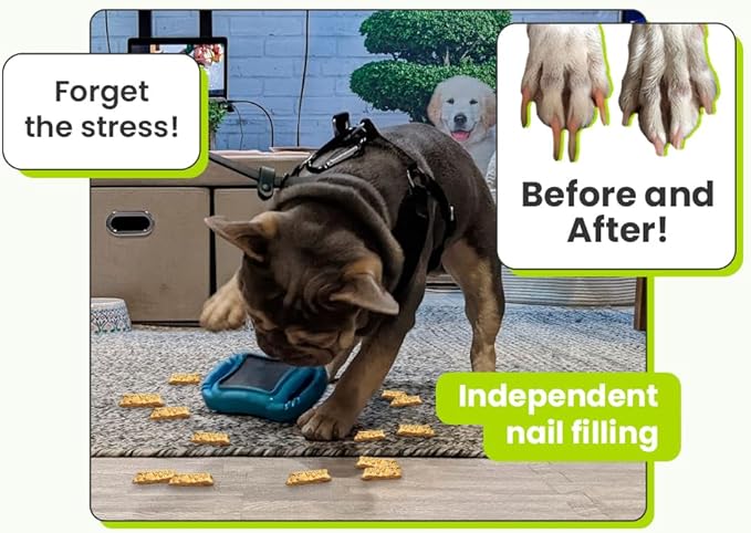 De' Vora Scratch Square - Dog Nail Scratch Board Treat Box | 5 in 1 Dog Scratch Pad for Nails | Dog Nail Scratch Board with Treat Box | Scratch Pad for Dogs Nail File | Dog Scratch Board XS/S