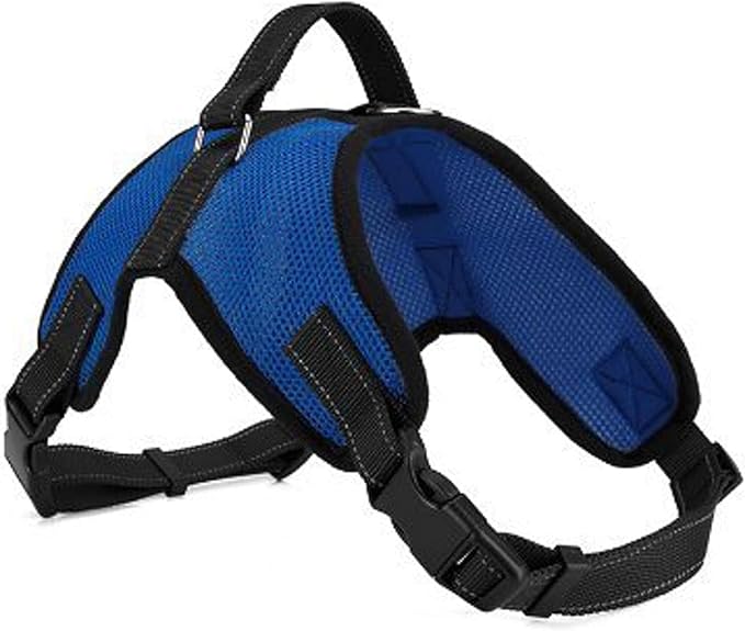 No Pull Reflective Adjustable Dog Harness With Handle- Comfortable Soft All Weather Mesh, Easy On Puppy Harness For Small Medium and Large Dogs (Blue) XX-Small