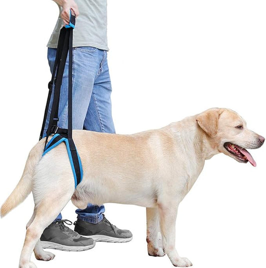 Adjustable Pet Dogs Lift Support Harness Breathable Mesh Padded Sling Straps Canine Support Rehabilitation for Injuries Arthritis Weak hind Legs & Joints, Blue (S)