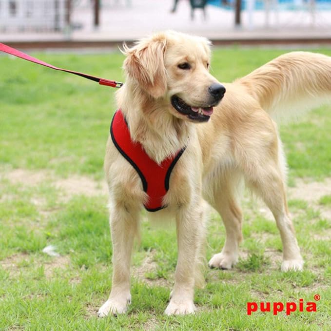 Authentic Puppia Soft Dog Harness, Red - Medium