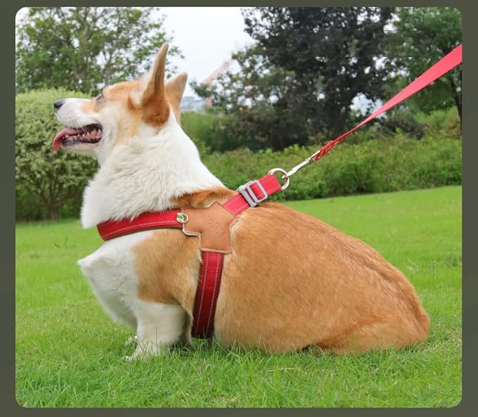 Dog Harness Y-Shaped Harness Breathable Heat Dissipation Easy to Wear Night Reflective Signs for Small and Large Dogs to Wear (Bright Red,XL Bust 24in-28in)