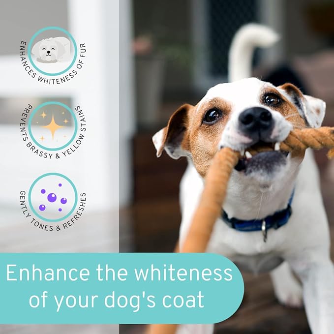 8 fl oz Dog Whitening Shampoo - Dog Shampoo for White Dogs - Brightens White and Darkens Dark Coats - Tearless and Natural - Hair and Fur Whitener for Dogs - Made in The USA