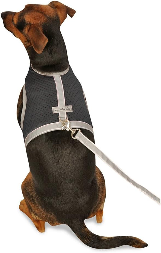 Athletic Mesh Dog Harness for Teacup, Teacup 1 - Small Dogs and Puppies | Reflective Trim and Comfortable Velcro Closure