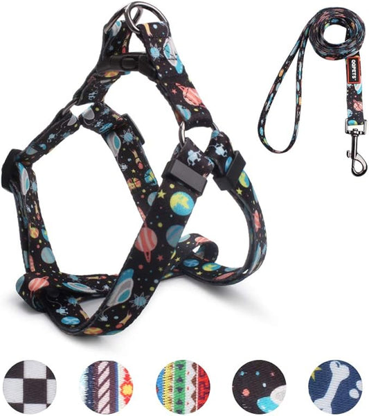 QQPETS Dog Harness Leash Set Adjustable Heavy Duty No Pull Halter Harnesses for Small Medium Large Breed Dogs Back Clip Anti-Twist Perfect for Walking (M(19"-26" Chest Girth), Space)