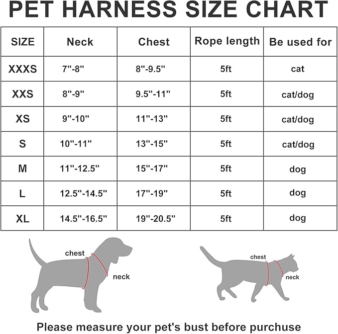 AMTOR Small Dog Harness with Leash Set, No Escape Easy Walk Puppy Harnesses for Training Walking, Step-in Reflective Soft Dogs Vest for XS S Medium Extra-Small Large Sized Dog(Fuchsia,XXS)