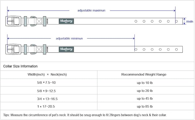 Blueberry Pet 4 Colors Glam Life Gold Stamping Lace Adjustable Dog Collar in True Red, Neck 13-16.5", for Medium Breed