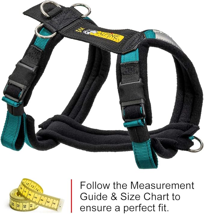 Urban Trail Adjustable Harness (Small, Teal)