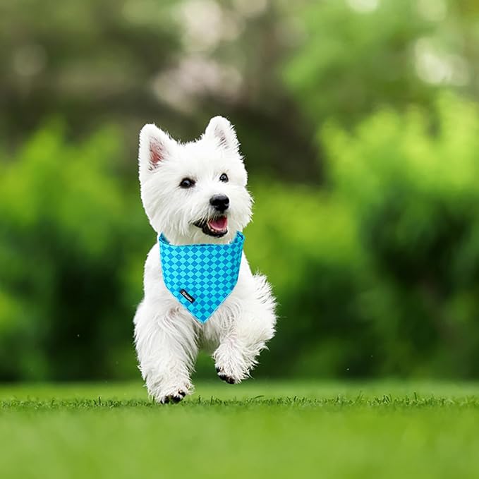 MACA Bates Checkered Blue Dog Grid Bandana Triangle Plaid Scarf Handkerchief Soft Cotton Cute Adjustable Puppy Bandanas Gift for Small Medium Large XL Pets