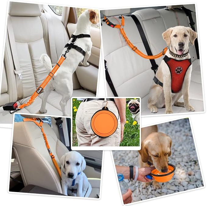Lukovee Dog Seatbelt Leash for Cars, 2 Pack Pet Safety Car Seat Belt with Adjustable Buckle & Reflective Bungee, Connect Dog Harness in Vehicle Car Dogs Restraint Travel Daily Use (Orange)