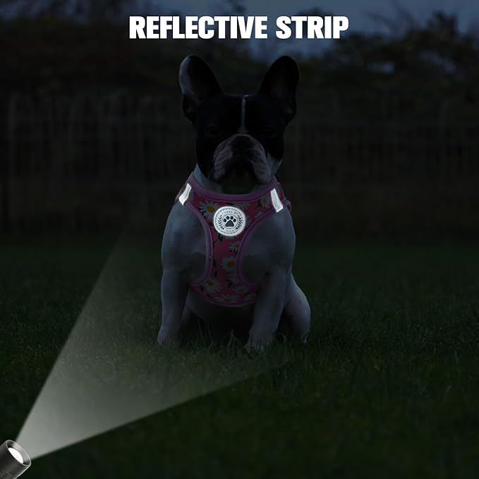 BEAUTYZOO Step in Dog Harness and Leash Set,Floral Pattern Reflective Dog Harness No Pull No Choke Puppy Harness for Small Medium Large Dogs Cats,Soft Padded Mesh Vest Harnesses for Girl and Boy Pets