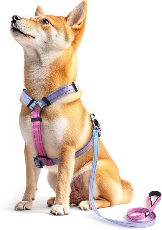 Dog Harness Leash Set, No Pull Adjustable Halter Cute Comfort Padded Handle for Medium Sized Large Small Dogs Walking Training Running with Reflective（XSmall,Red Blue）