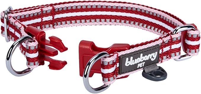 Blueberry Pet 3M Reflective Dog Collars | Adjustable Dog Collar w/Multi-Colored Stripe - Marsala Red and Pink | Nylon Pet Collars for Dogs & Refflective Dog Collar for Large Dogs