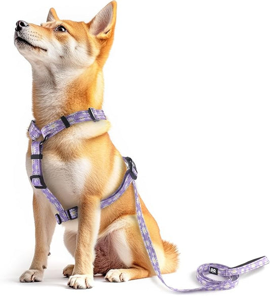 Dog Harness Leash Set, No Pull Adjustable Halter Cute Comfort Padded Handle for Medium Sized Large Small Dogs Walking Training Running with Reflective（Small,Purple）