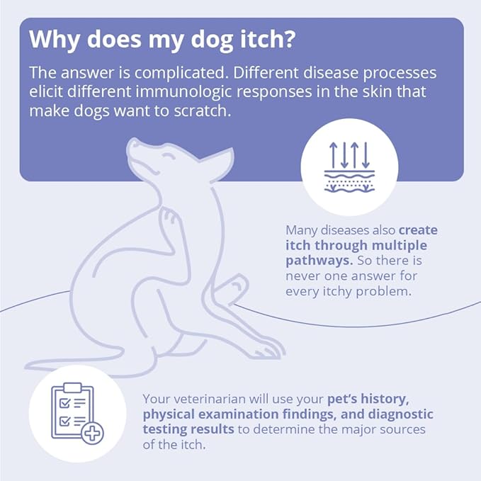 Shampoo for Dogs, Cats and Horses, Gallon