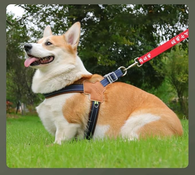 Dog Harness Y-Shaped Harness Breathable Heat Dissipation Easy to Wear Night Reflective Signs for Small and Large Dogs to Wear (Dark Blue,L Bust 22in-26in)