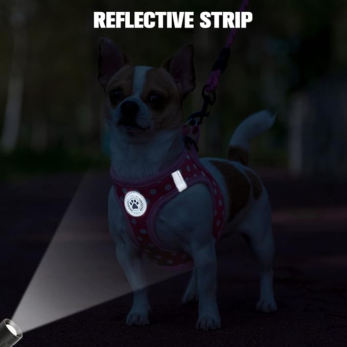 BEAUTYZOO Step in Dog Harness and Leash Set, Polka Dot Pattern Reflective Dog Harness No Pull No Choke Puppy Harness for XXS XS S Dogs Cats, Soft Padded Mesh Vest Harnesses for Girl and Boy Pets