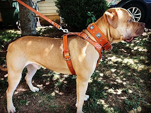 Bestia EROS Black Big Dog Chest Plate Leather Harness. Padded. Handmade in Europe!