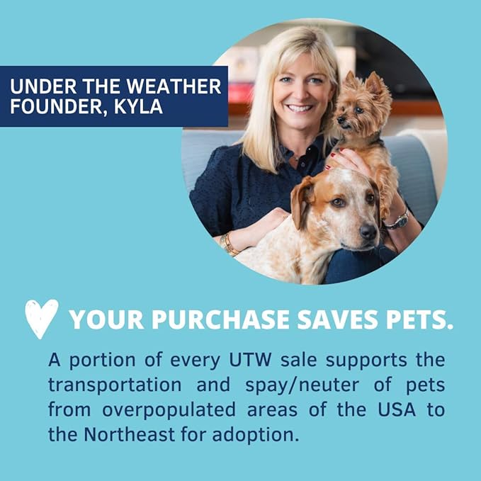 Under the Weather Bland Diet for Dogs | Easy to Digest for Sick Dogs |Always Be Ready | Contains Electrolytes - All Natural Freeze Dried 100% Human Grade Meats | 6 Pack - Rice, Chicken & Pumpkin - 6oz