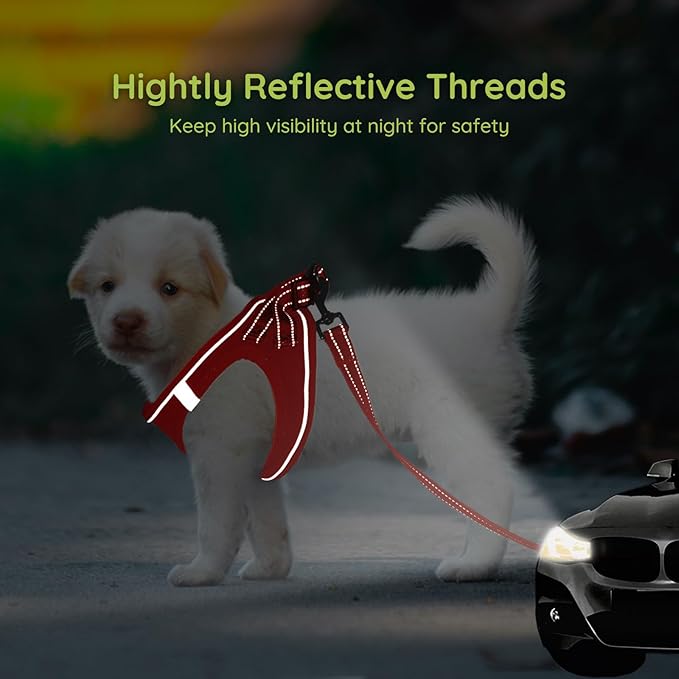 BELLA & PAL Puppy Harness with Leash Set, Dog Harness for Small Dogs No Pull, Dog Leash for Small Dogs, Step in Harness for Extra Small Dogs, Red Harness, L