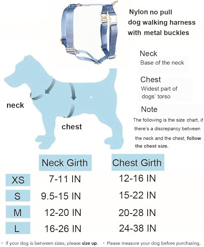 Nylon No Pull Dog Harness with Gold Metal Buckles,Easy Walking and Training Dog Harness (Sage Green, S)
