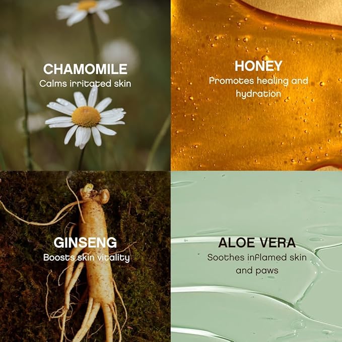 Floof Hypoallergenic Dog Wipes – Natural Aloe Grooming Wipes for Paws Face Ears Eyes & Bum – Vet-Formulated Extra Thick Safe for Puppies & Adult Dogs – 288 Count