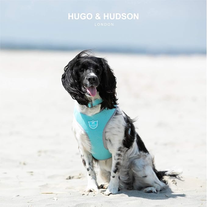 HUGO & HUDSON Dog Harness No-Pull Pet Harness Adjustable Quick Dry Mesh Padded Vest, Aqua, L