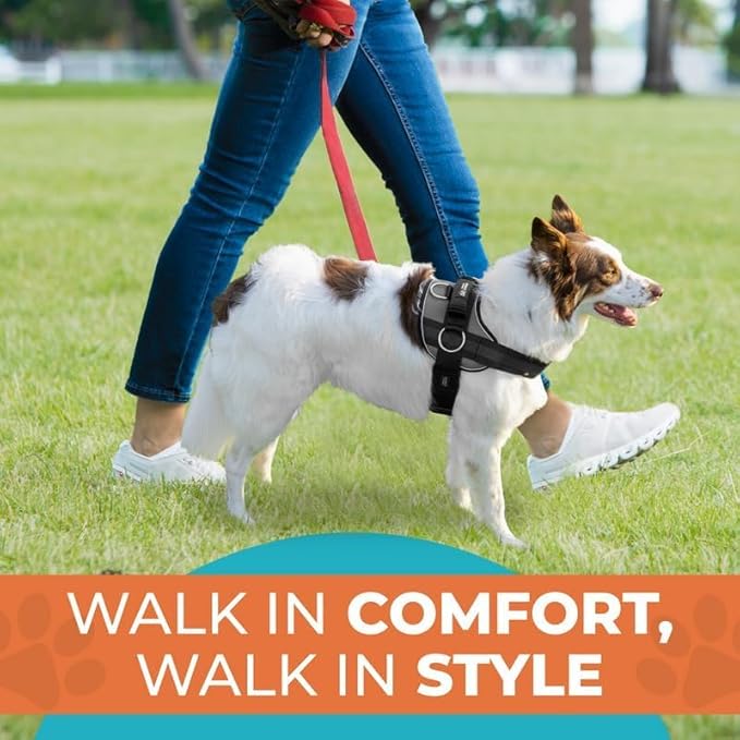 Joyride Harness 2.0 - The Original Side Ring No Pull Dog Harness - No Choke, Escape Proof, Reflective, 3 Leash Clips, Quick Fit Pet Vest - Easy Walks & Training - for Small, Medium & Large Dogs