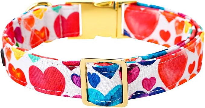 Lionet Paws Valentine Day Dog Collar, Heavy-Duty Cute Colorful Heart Pattern Pet Collar with Metal Buckle Necklace for Puppy and Cats Gift, X Small, Neck 8-12 inches