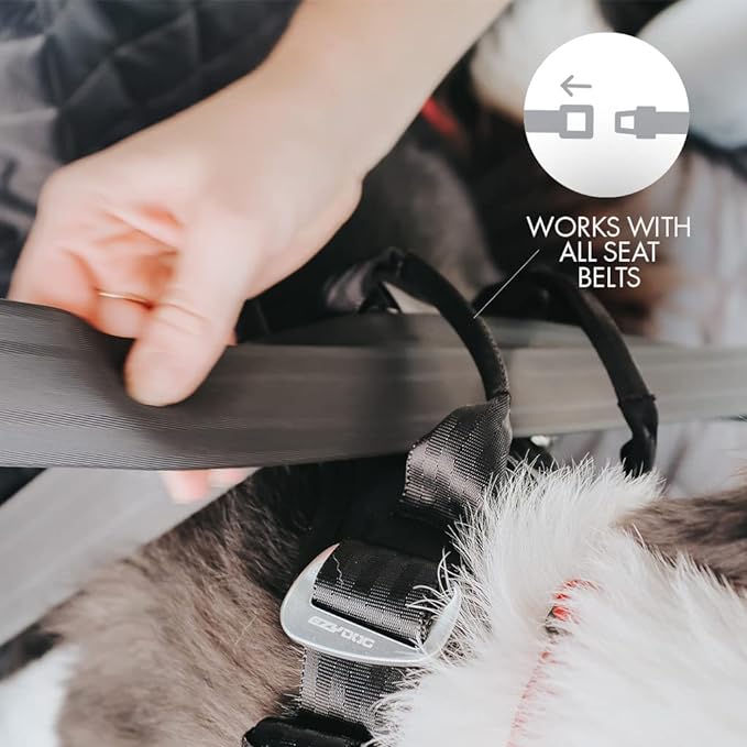 EzyDog Drive Safety Travel Dog Car Harness - Crash Tested US (FMVSS 213) - Premium Vehicle Restraint Vest for Protection and Comfort - Easy One Time Fit and Use with Car Seat Belt (Large)