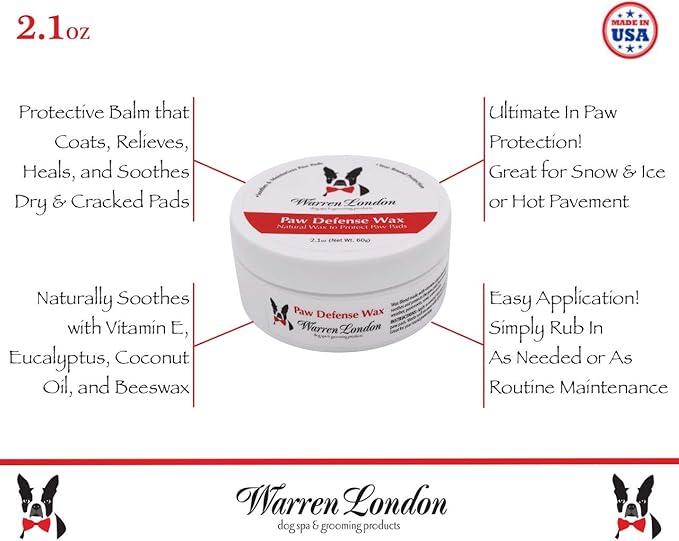 Warren London Dog Gift Box