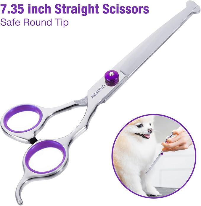 Professional Dog Grooming Scissors with Safety Round Tips, 5 in 1 Dog Grooming Scissors Kit, 4CR Stainless Steel Pet Grooming Shears for Dog, Cat,Sharp and Sturdy, Purple