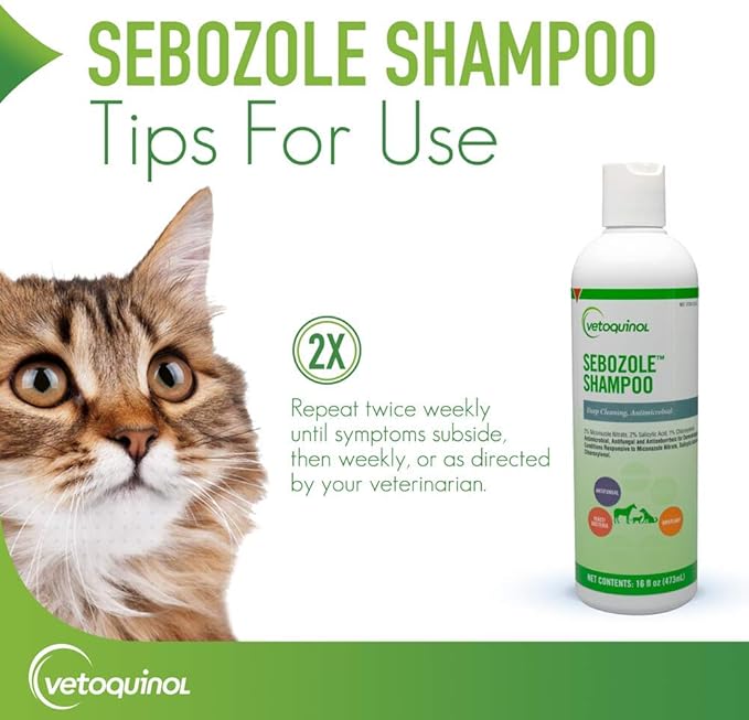 Vetoquinol Sebozole Pet Shampoo with Miconazole Nitrate 2% and Chloroxylenol 1%, 16oz