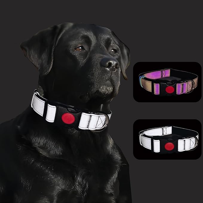 Reflective Dog Collar Soft Neoprene Padded Breathable Nylon Pet Collar Adjustable for Small Medium Large Dogs (Silver, L)