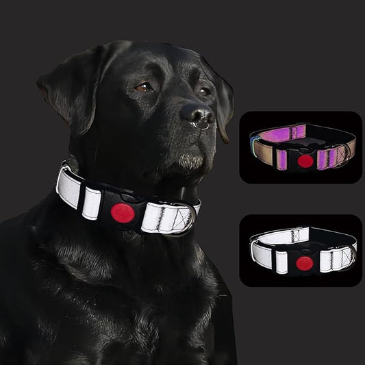 Reflective Dog Collar Soft Neoprene Padded Breathable Nylon Pet Collar Adjustable for Small Medium Large Dogs (Silver, L)