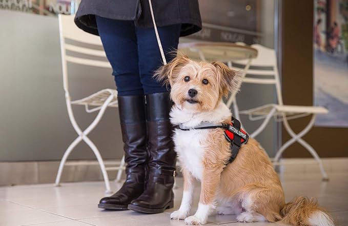 Emotional Support Dog Vest Harness with Reflective Straps, Interchangeable Patches, & Top Handle - ESA Dog Vest in 8 Sizes - Heavy Duty Emotional Support Dog Harness for Working Dogs (Pink, XS)