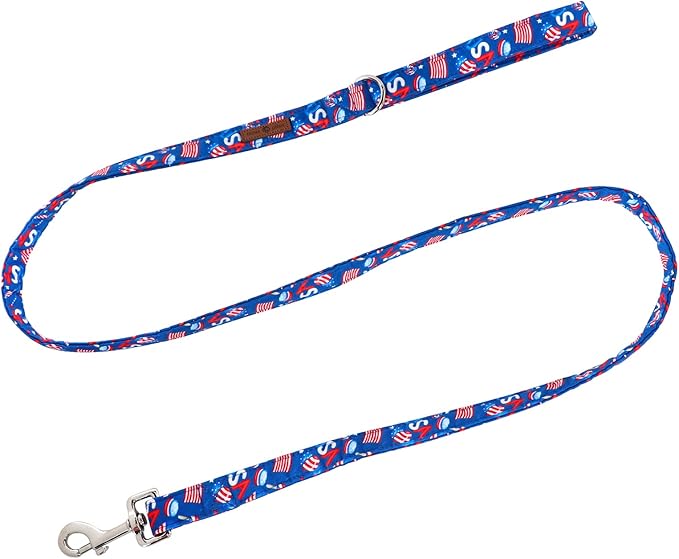 Lionet Paws Patriotic 4th of July American Flag Dog Leash Matching Dog Collar for Small Medium Large Dog