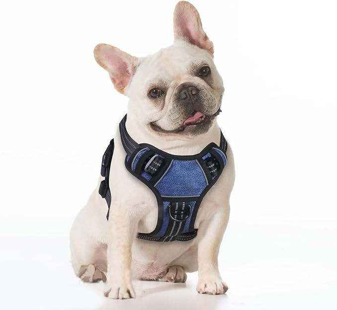 BUMBIN Dog Harness for Large Dogs, No Pull Adjustable No Choke Pet Vest with Dog Leash Fit Smart Reflective Pet Walking Harness for Training Easy Control Soft Handle Denim Blue L