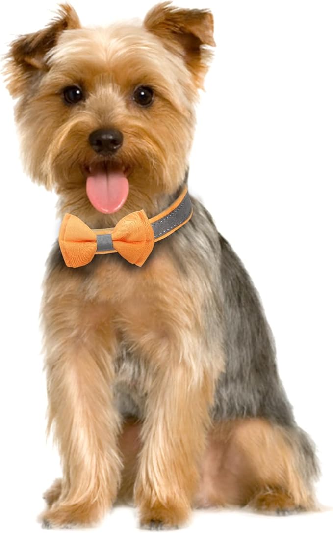 Dog Collar,Metal Buckle Pet Collar Suede Dog Collar Soft&Comfy Adjustable Pet Gift Collars with Bow for Small Medium Large Dogs (Small, Gray&Yellow)