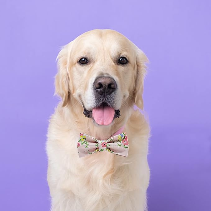 Dog Bow Ties, SJANE 50 Pcs Delicate Multiple Styles & Colors Dog Collar Attachment Bowties for Pet Collar Accessories Bowties for Christmas Parties Wedding Birthday Special Occasions