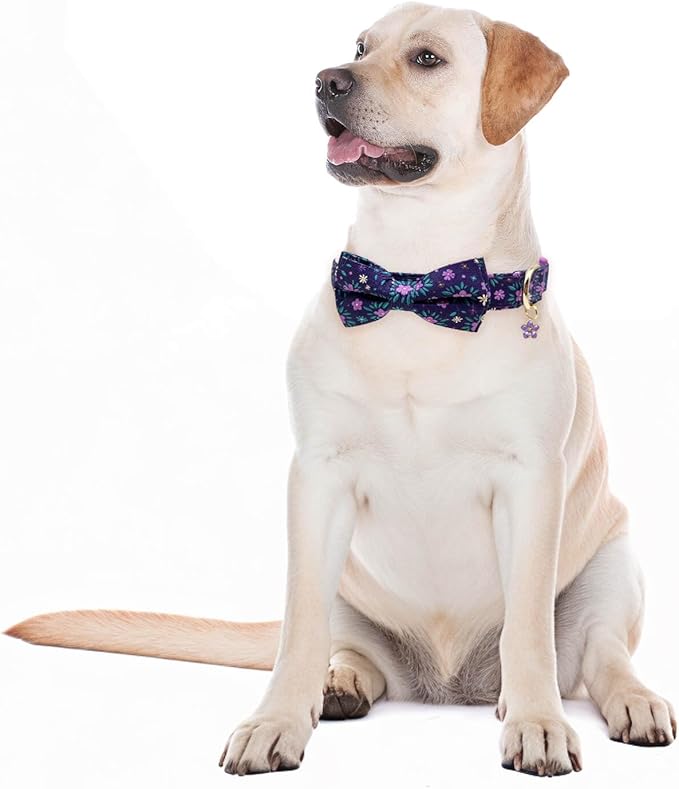 Fashionable Dog Collar with Bow Tie for Small Medium Large Dogs,Cute and Soft Puppy Collar for Male Female Dogs,Durable Cotton Dog Collar with Adjustable Buckle Butterfly Pattern (S, Purple Flower)
