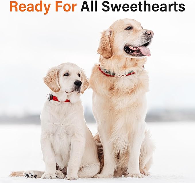 7” Professional Straight Dog Grooming Scissors – Sharp Stainless Steel Pet Shears for Dogs & Cats, Full-Body Hair Trimming Tool for Groomers & Home Use