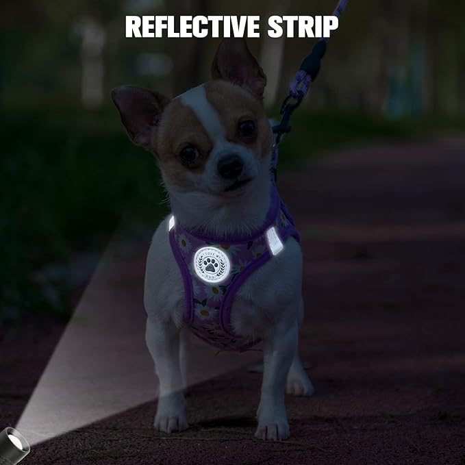 BEAUTYZOO Step in Dog Harness and Leash Set, Floral Pattern Reflective Dog Harness No Pull No Choke Puppy Harness for XXS XS S Dogs Cats, Soft Padded Mesh Vest Harnesses for Girl and Boy Pets
